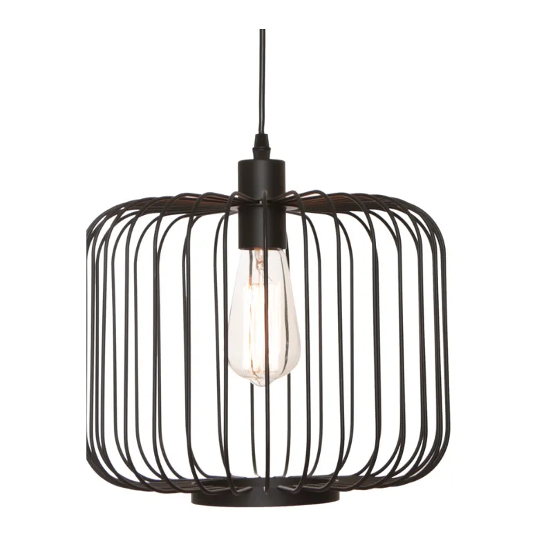 Cougar Lighting Bonn Wire Cage Pendant