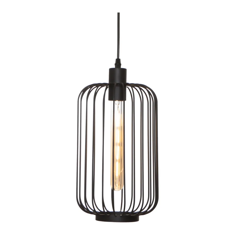 Cougar Lighting Kurten Wire Cage Pendant