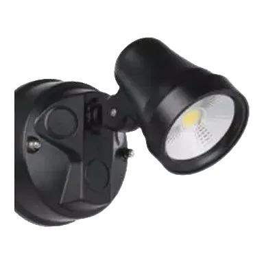 Eglo Coastguard LED Security Spotlight in Black, 1 light, Without sensor