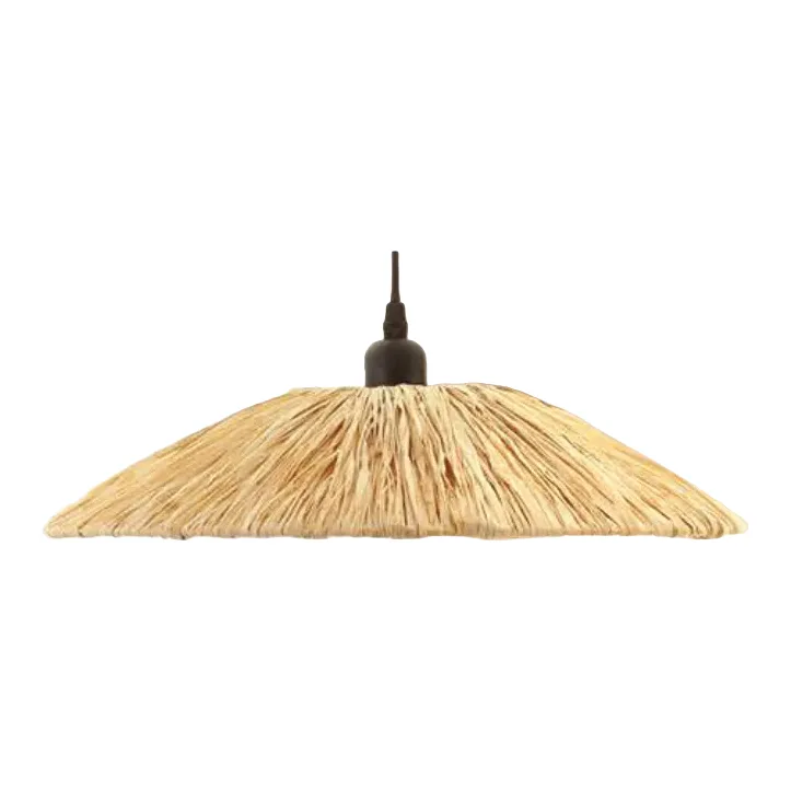 Lexi Lighting Lucia Raffia Pendant Light