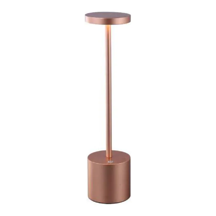 Lexi Lighting Portable LED Bar Table Lamp