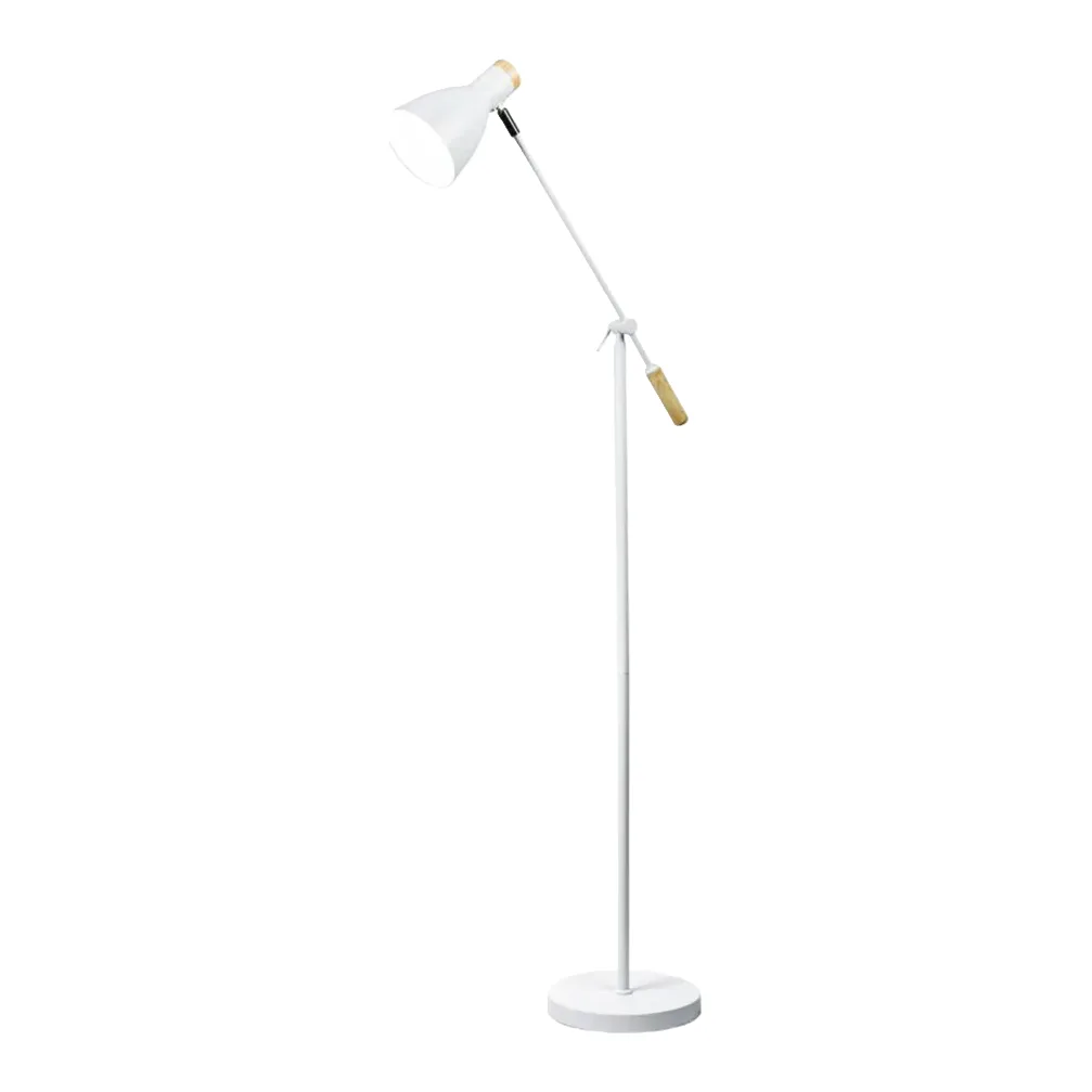 Lexi Lighting Scandinavian Adjustable Floor Lamp