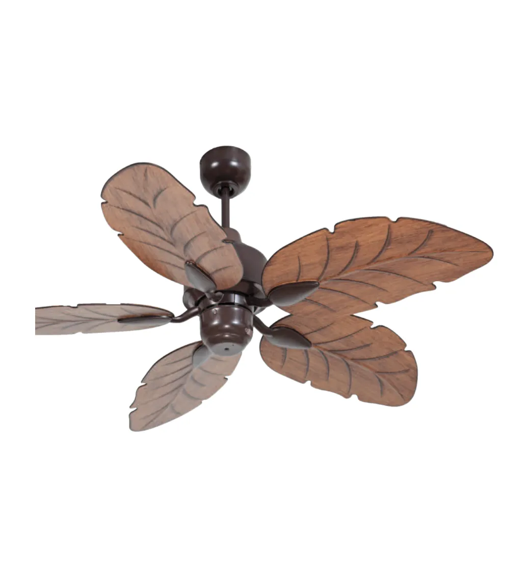 Mercator Cooya AC Ceiling Fan