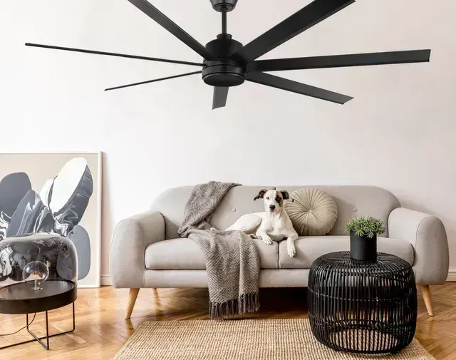 Ceiling Fans on display at Lighting Bonanza Albury