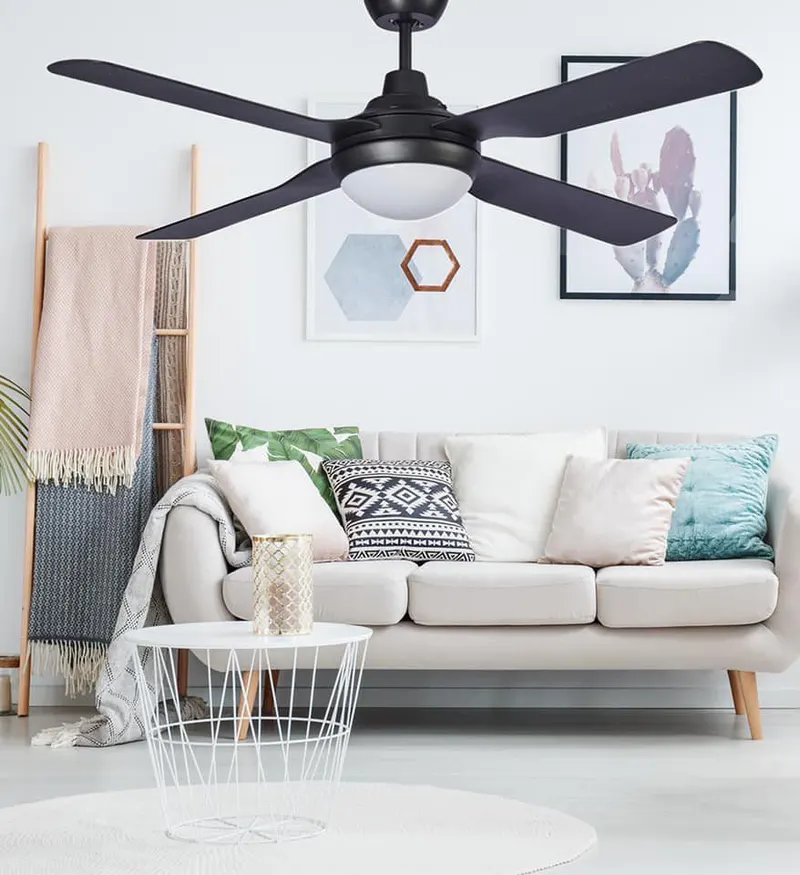 Ceiling Fans on display at Lighting Bonanza Albury
