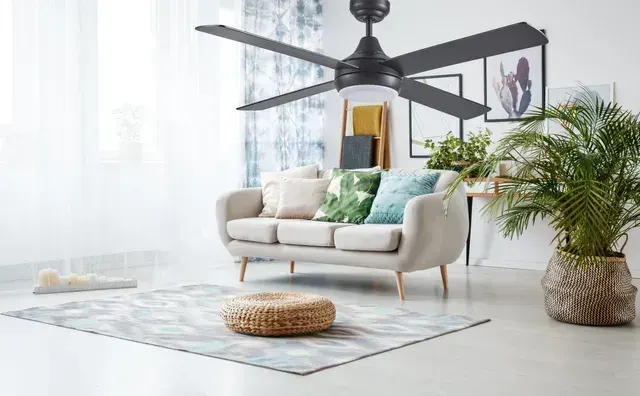 Ceiling Fans on display at Lighting Bonanza Albury