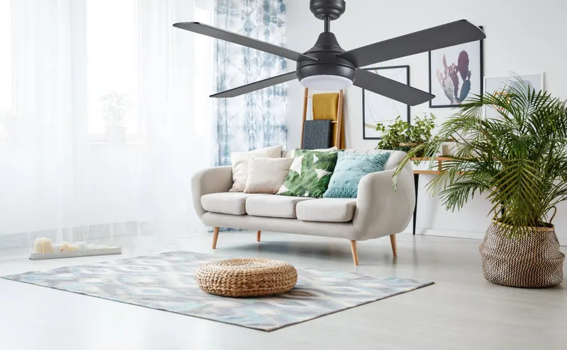 Ceiling Fans on display at Lighting Bonanza Albury