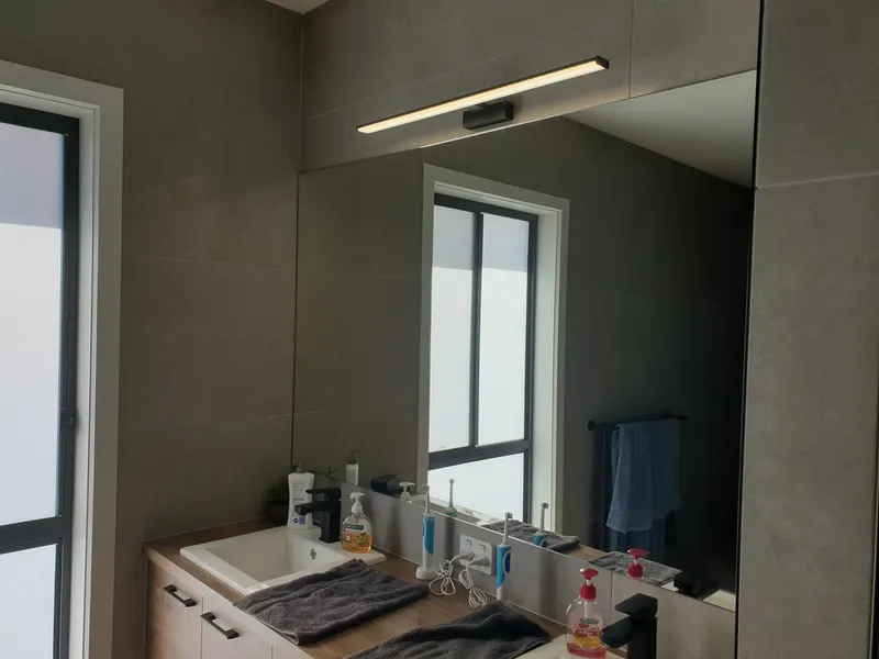 Vanity light